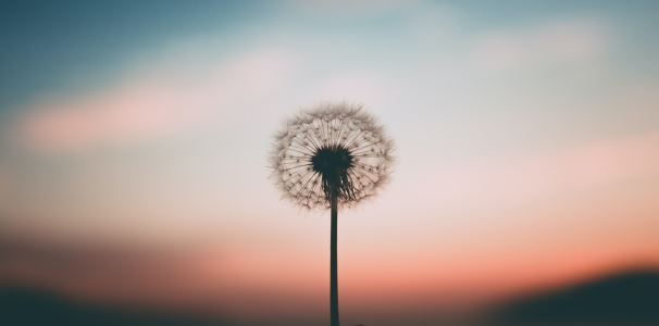 Awareness and Emotional Agility